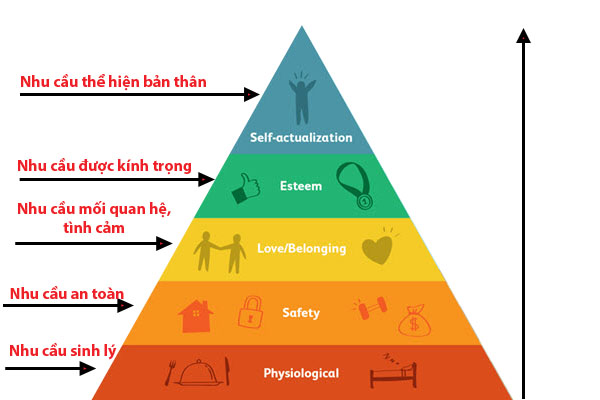 Tháp nhu cầu Maslow và ứng dụng thực tế vào phát triển doanh nghiệp