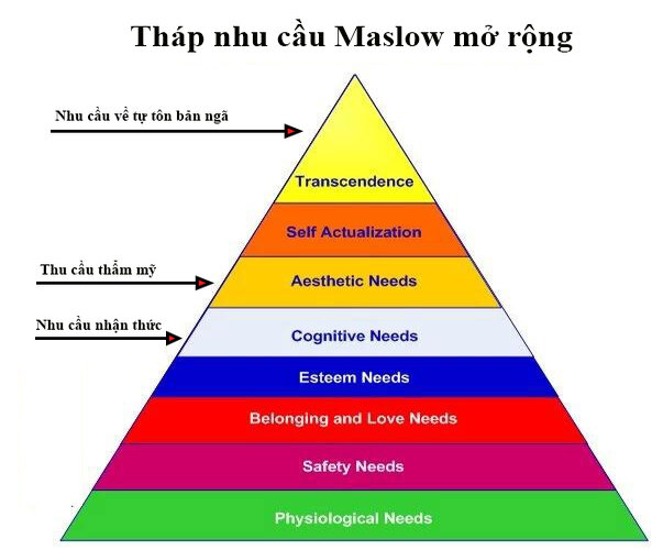 Th&aacute;p nhu cầu Maslow mở rộng