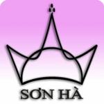 công ty tnhh thương mại sơn hà