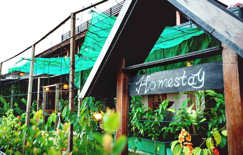 kinh doanh homestay hiện năng đang c&oacute; tiềm năng ph&aacute;t triển mạnh mẽ