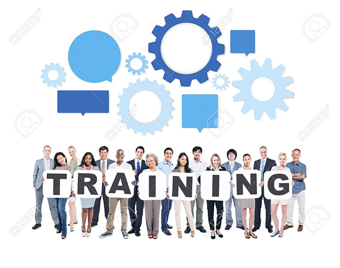 Training là gì? Tầm quan trọng của quá trình training đối với doanh nghiệp
