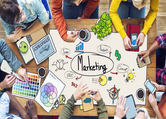 Những kỹ năng cần c&oacute; của Digital marketing executive