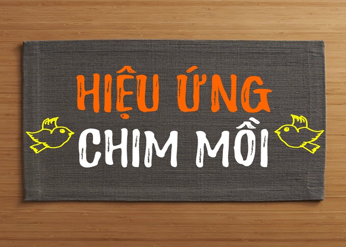 &nbsp;Hiệu ứng chim mồi l&agrave; g&igrave;?