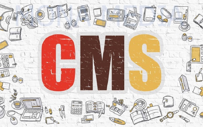 CMS website l&agrave; g&igrave;?