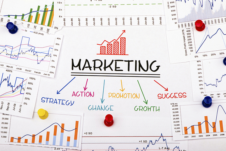 Vai tr&ograve; của Sales executive l&agrave; g&igrave;