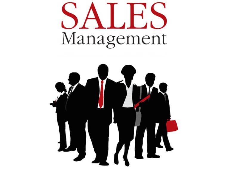 Sales manager l&agrave; người quản l&yacute; đội ngũ kinh doanh