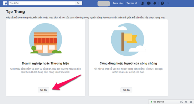 Chọn loại h&igrave;nh fanpage
