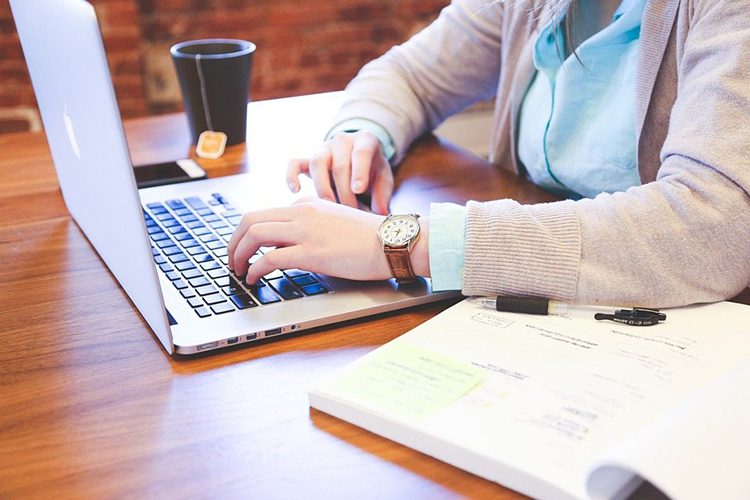 y&ecirc;u cầu vị tr&iacute; content writer