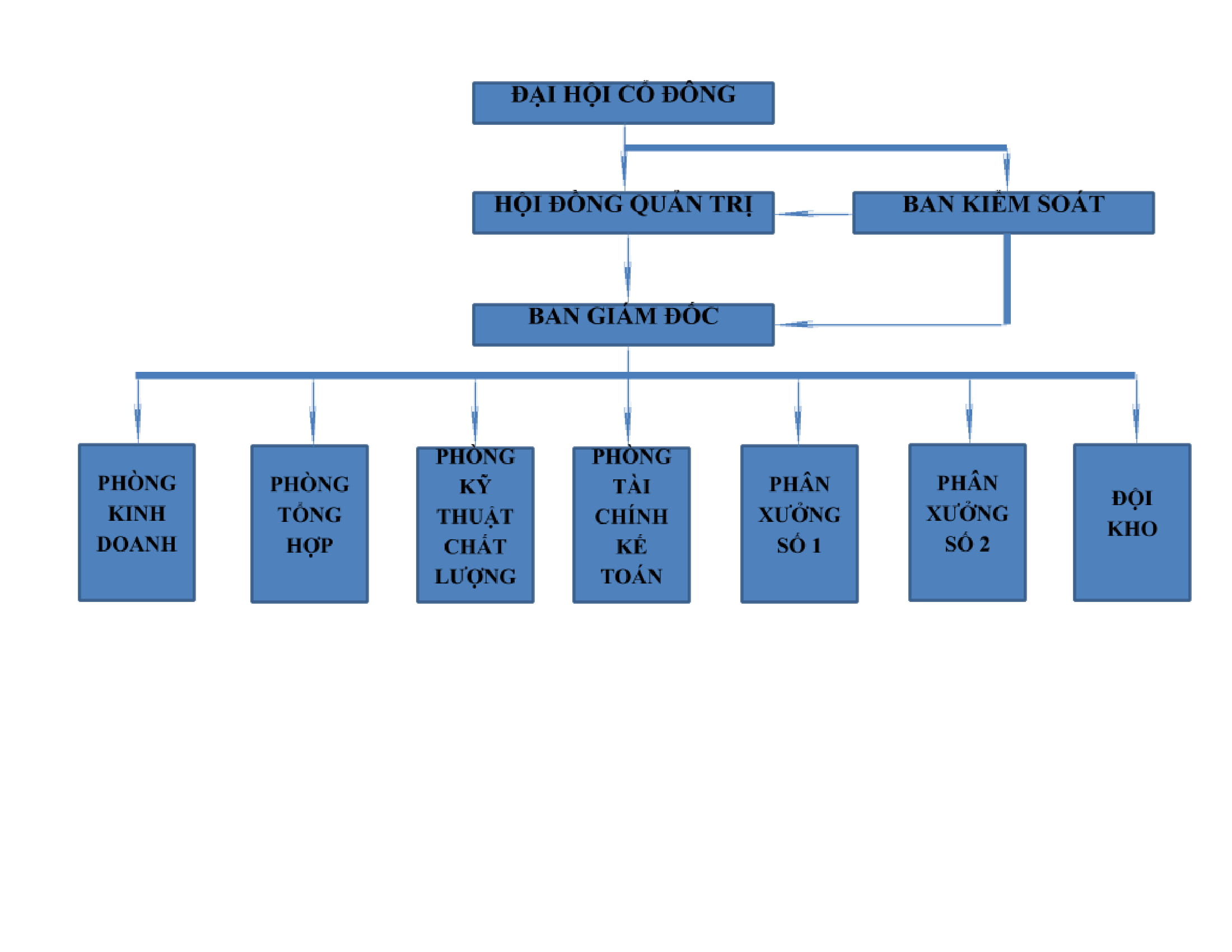 Mẫu sơ đồ tổ chức c&ocirc;ng ty cổ phần