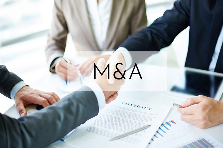 M&A l&agrave; g&igrave;?