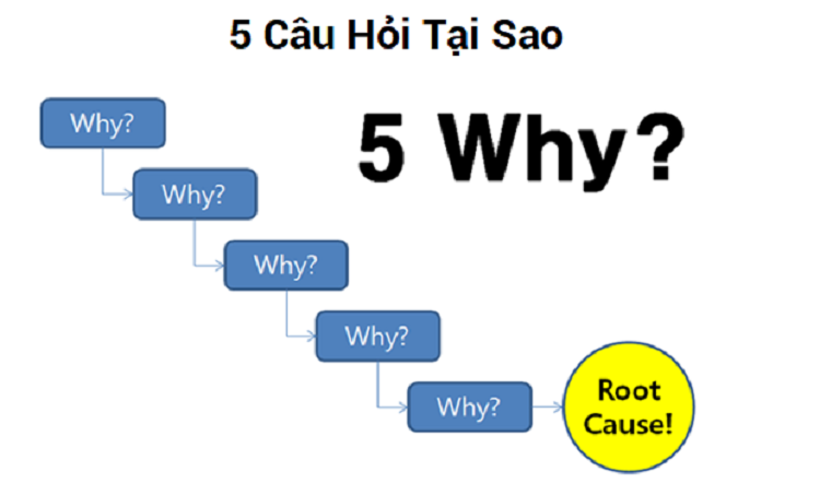 5 why l&agrave; g&igrave;?