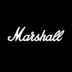 công ty tnhh marshall amplification
