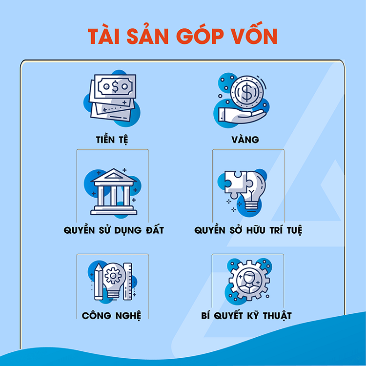 Những loại t&agrave;i sản c&oacute; thể g&oacute;p vốn điều lệ l&agrave; g&igrave; cho v&iacute; dụ