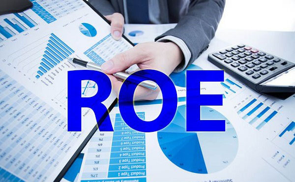 ROE l&agrave; viết tắt của cụm từ Return On Equity l&agrave; lợi nhuận tr&ecirc;n vốn chủ sở hữu