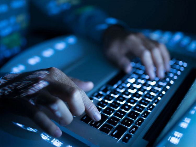 computer-developer-programmer