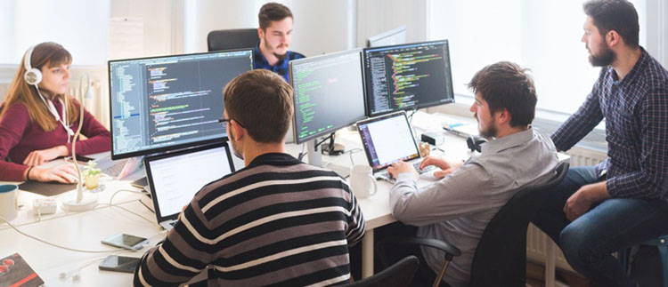 computer-developer-programmer