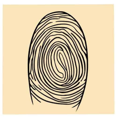 Sinh trắc vân tay là gì? Hiểu biết căn bản về sinh trắc học vân tay