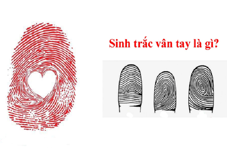 Sinh trắc vân tay có lợi ích như thế nào trong đời sống và công việc?
