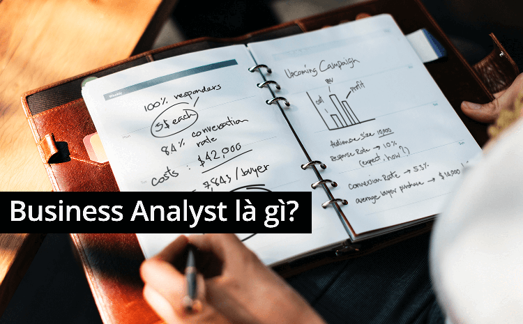 Business Analyst