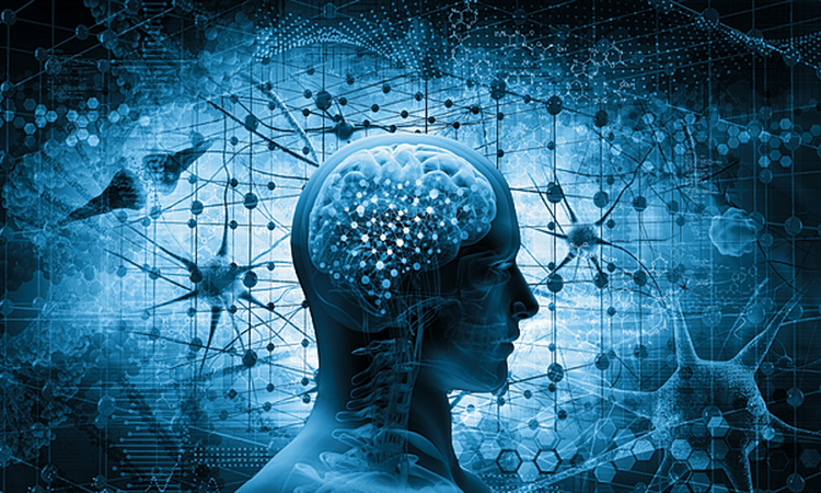 C&aacute;c c&aacute;ch test IQ online