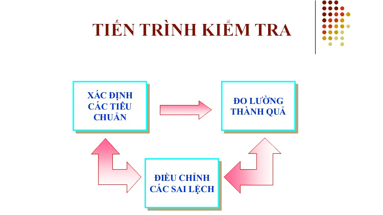 Tiến tr&igrave;nh kiểm tra trong nội bộ doanh nghiệp