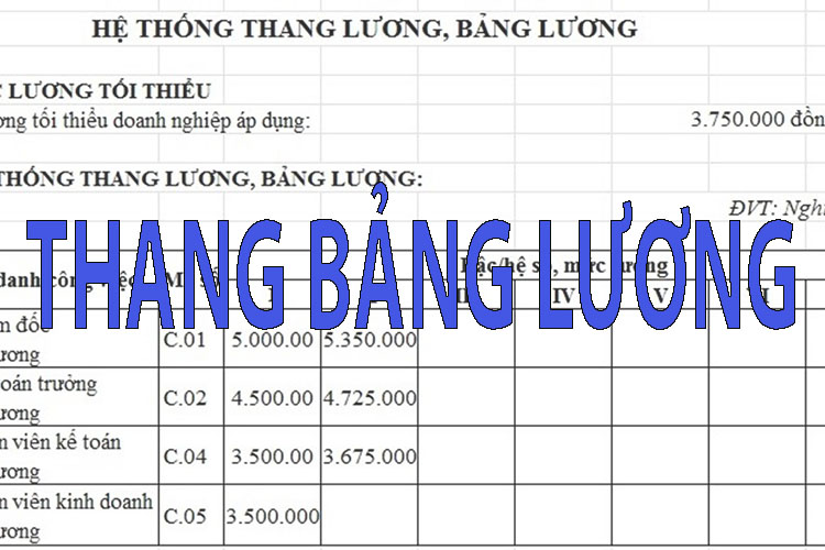 Quy định tiền lương mới nhất về thang bảng lương trong công ty
