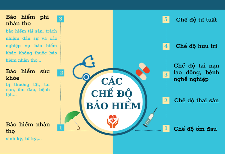 Chức năng tra cứu bảo hiểm x&atilde; hội