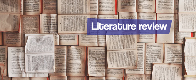 Literature review