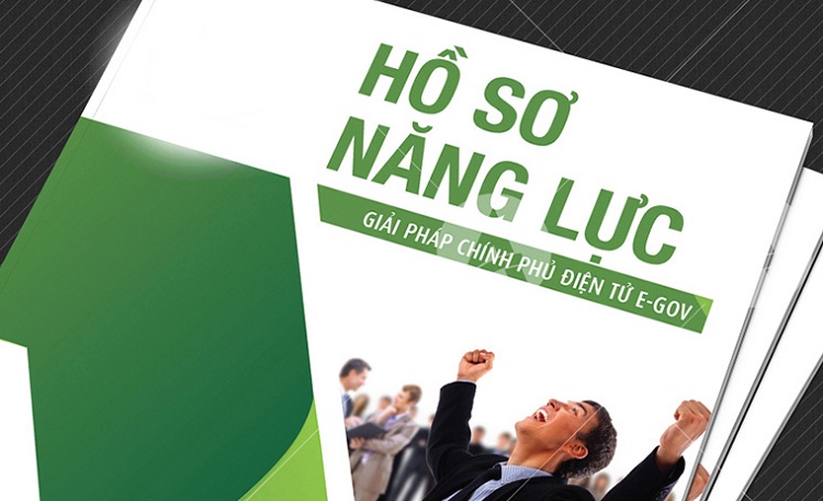 Mẫu hồ sơ năng lực c&ocirc;ng ty chuy&ecirc;n nghiệp