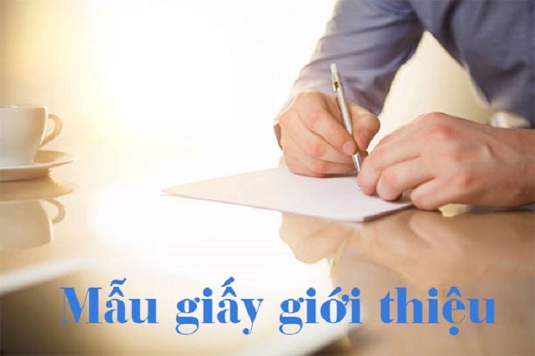 Mẫu giấy giới thiệu chuẩn form l&agrave; g&igrave;?