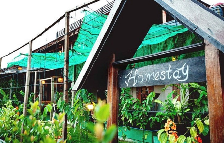 M&ocirc; h&igrave;nh nh&agrave; homestay