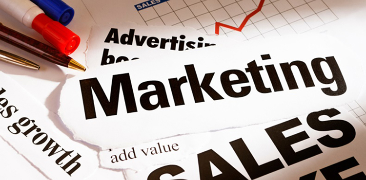 Mẫu cv tiếng anh trong ng&agrave;nh marketing 