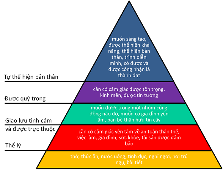 Th&aacute;p nhu cầu Maslow l&agrave; g&igrave;? 
