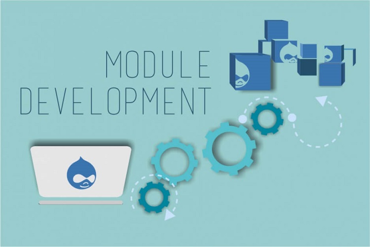Module l&agrave; g&igrave;?