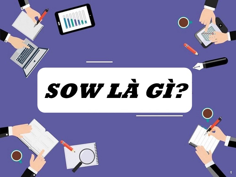 Sow l&agrave; g&igrave;?