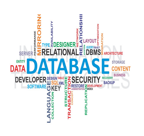 Database là gì? Những thông tin cơ bản cần biết về database chính xác nhất