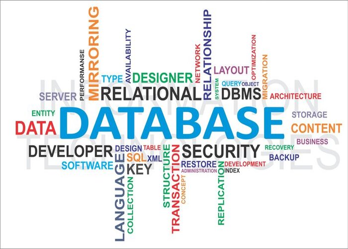 Database l&agrave; g&igrave;?