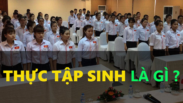 thực tập sinh l&agrave; g&igrave;?