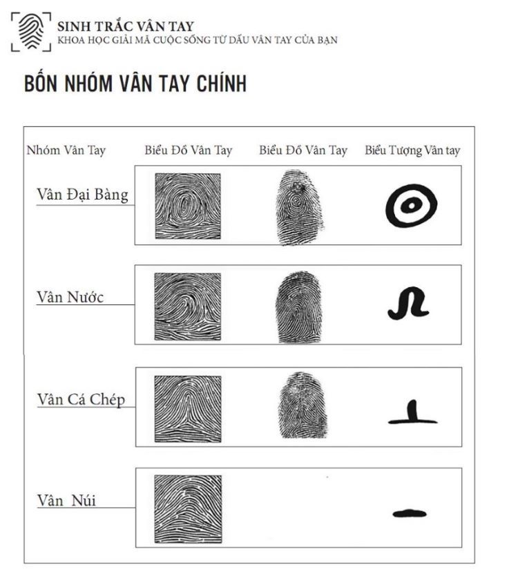 Bốn nh&oacute;m v&acirc;n tay ch&iacute;nh 