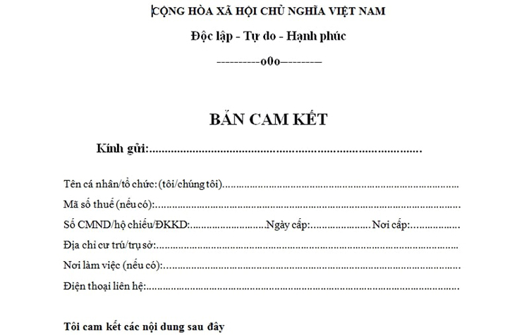 mẫu bản cam kết l&agrave; g&igrave;