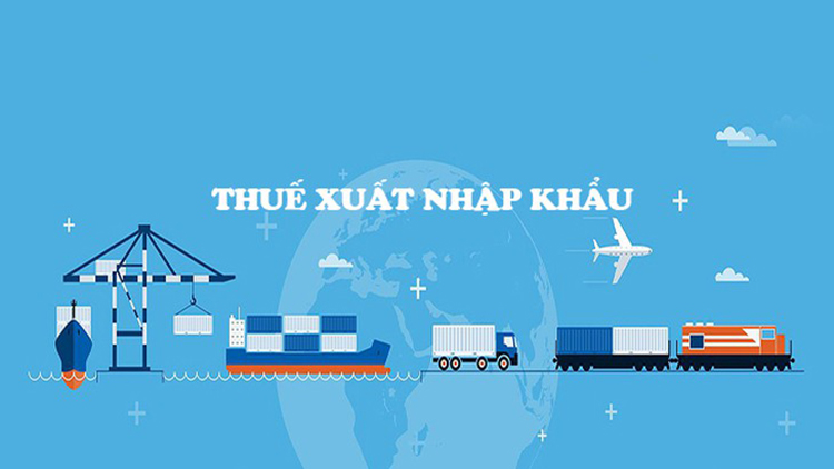  thuế nhập khẩu l&agrave; g&igrave; 
