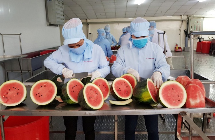 Hiệp định RCEP mang lại lợi &iacute;ch g&igrave; cho Việt Nam