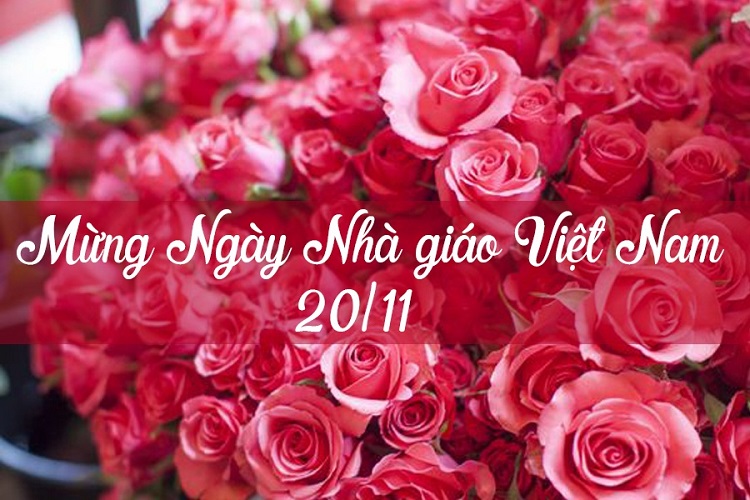 Tổng hợp những lời chúc 20/11 - ngày nhà giáo Việt Nam hay và ý nghĩa nhất