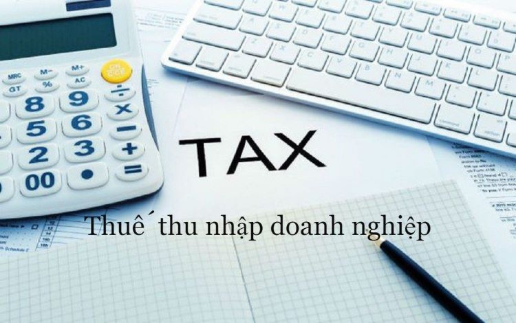 Nhà nước sẽ là cơ quan chính thu thuế của các tổ chức kinh doanh