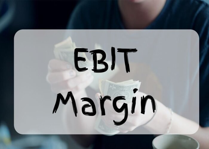 EBIT Margin l&agrave; g&igrave;