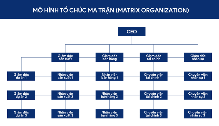 Sơ đồ tổ chức c&ocirc;ng ty l&agrave; g&igrave;? M&ocirc; h&igrave;nh sơ đồ tổ chức