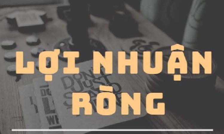 Lợi nhuận ròng là gì? Những thông tin về lợi nhuận ròng