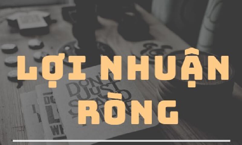 Lợi nhuận ròng là gì? Ý nghĩa và cách tính tỷ suất lợi nhuận ròng