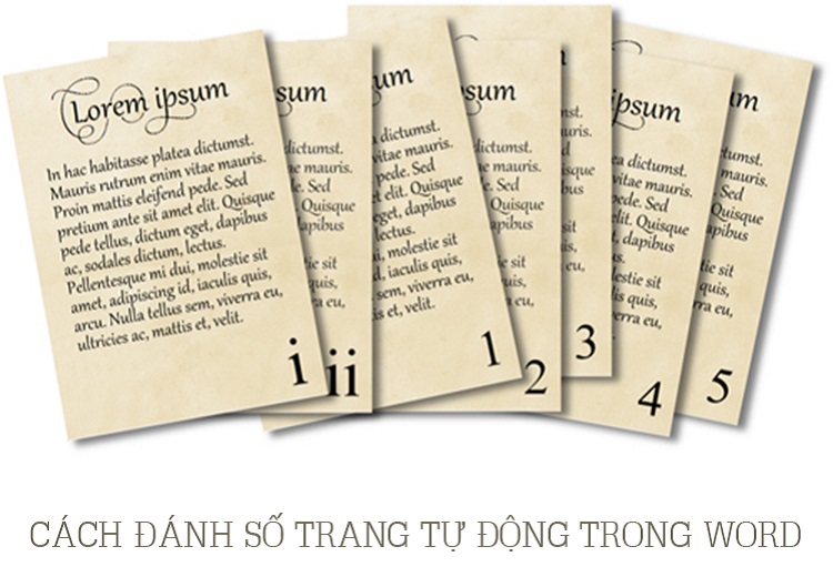 Giải đ&aacute;p đầy đủ chi tiết những thắc mắc về c&aacute;ch đ&aacute;nh số trang trong Word