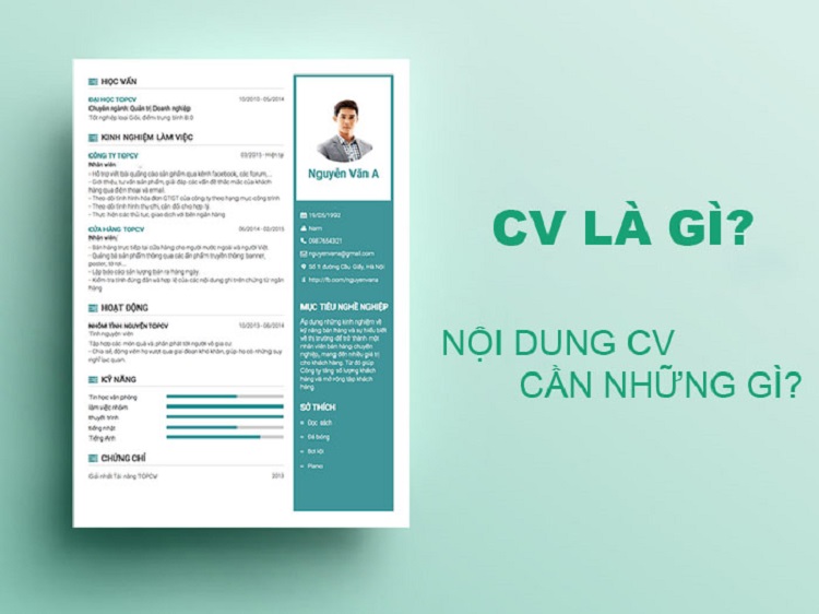 những nội dung cơ bản nhất của một cv